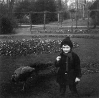 Photo: Ein Pfau und ein die Pfaueninsel besuchender Junge auf der Pfaueninsel in Berlin(West) im Jahr 1967. Photograph: Erwin Thomasius.