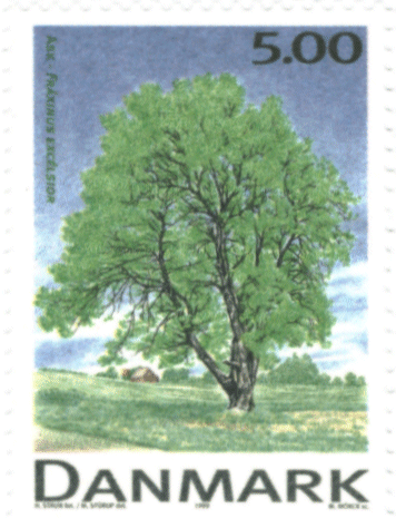 Im Jahr 2002 bei der Post in Dänemark gekaufte Briefmarke mit einem Baum als Motiv. 1:1 eingescannt.