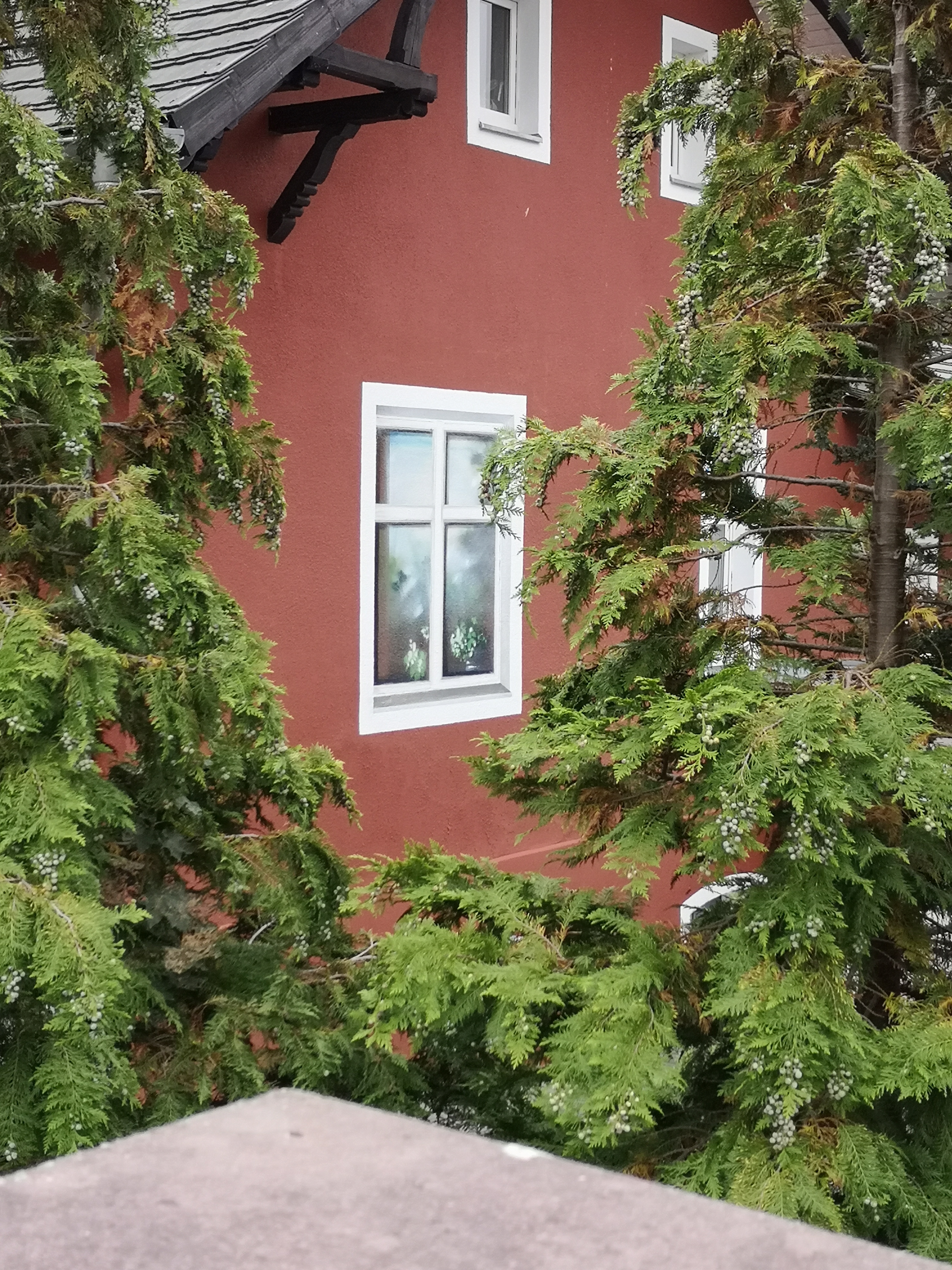 Ein Trompe-l'œil Fenster in Gruenheide in dem Bundesland Brandenburg bei Berlin im September des Jahres 2019. Farbfoto: Erwin Thomasius.