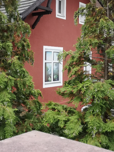 Farbfoto: Ein Trompe-l´œil - Fenster in Grünheide bei Berlin in der Mark Brandenburg im September des Jahres 2019.