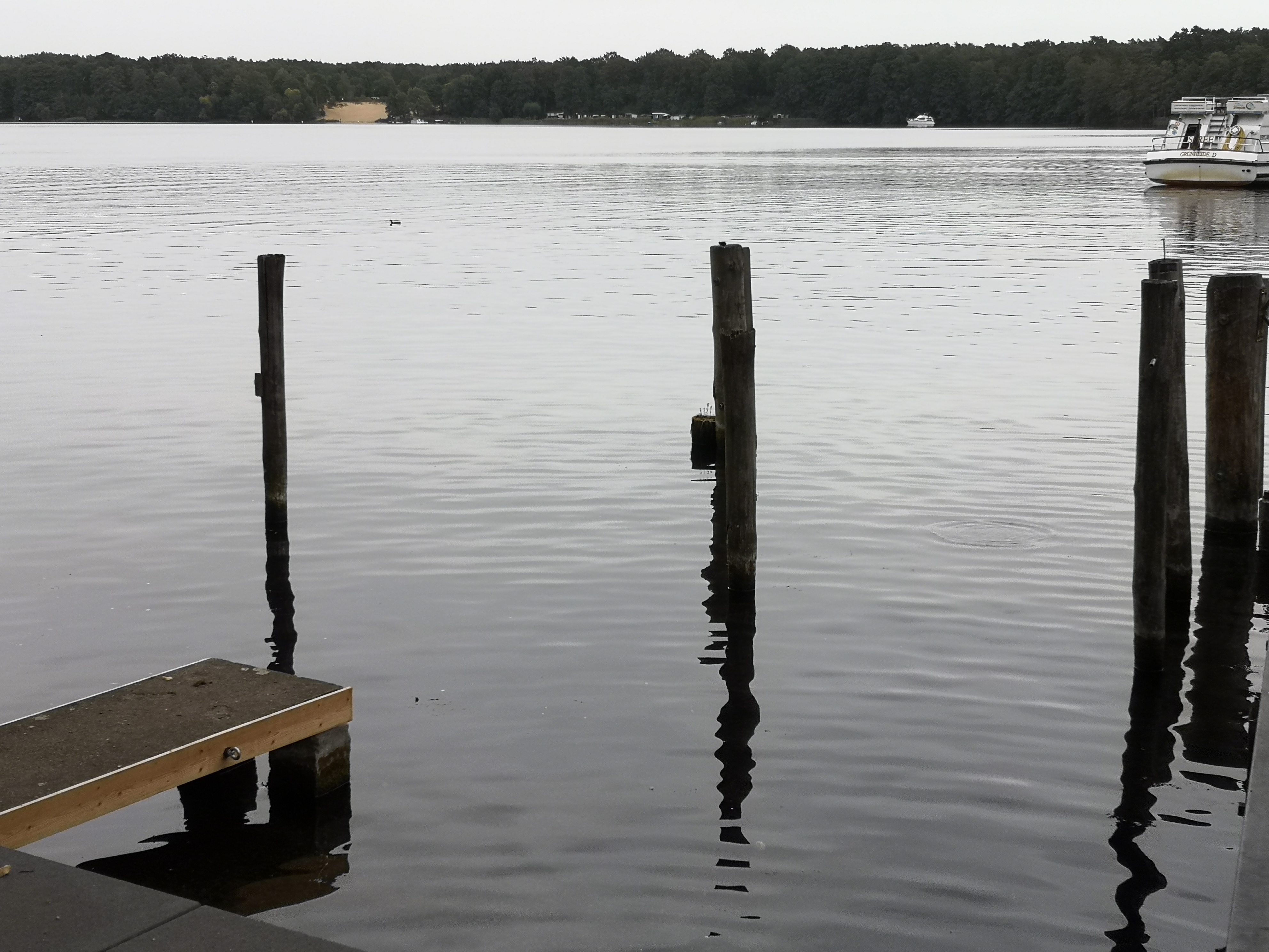 Der Peetzsee in Grünheide in dem Bundesland Brandenburg bei Berlin im September des Jahres 2019. Farbfoto: Erwin Thomasius.