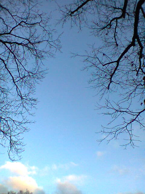 Farbfoto: Der Himmel über der Hasenheide. Im Februar des Jahres 2013. Copyright by jen