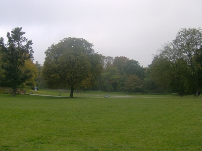 Farbfoto: Rasen im Volkspark Hasenheide im Oktober des Jahres 2011. Fotograf: R. I.