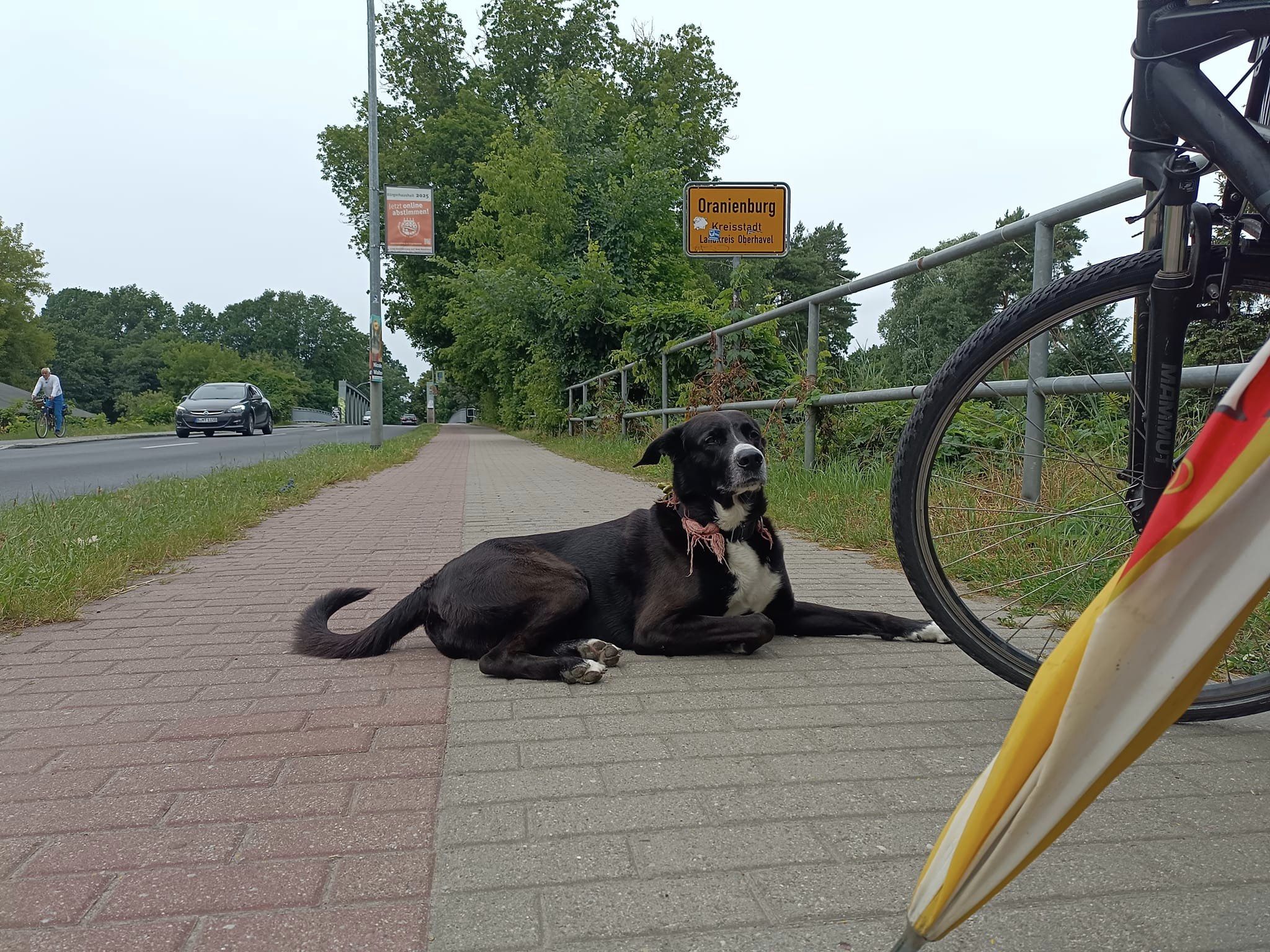 Farbfoto: Blick auf das Ortsschild von der Kreisstadt ORANIENBURG im Landkreis Oberhavel. Juni 2024. Foto: Ralf Splettstoesser.